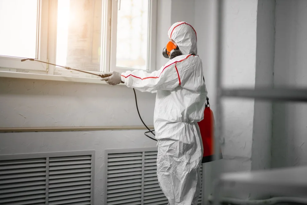 Professional mold remediation services in Jasonville, IN
